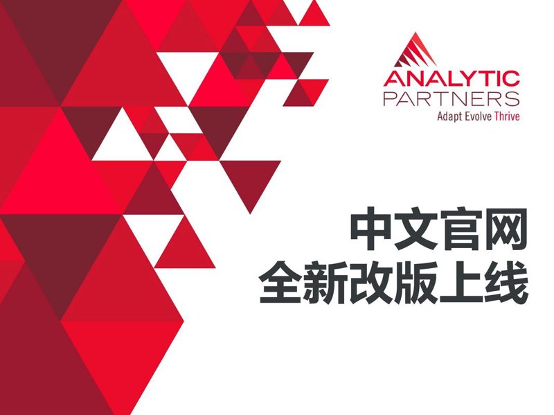网络公司发展风向标:宜昌市场的独特魅力